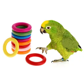 

10 Pcs/Set Wooden Ring Parrot Toys Bite Chew Play Natural Colorful Rings Decoration Birds Parakeet Toy DIY Accessories