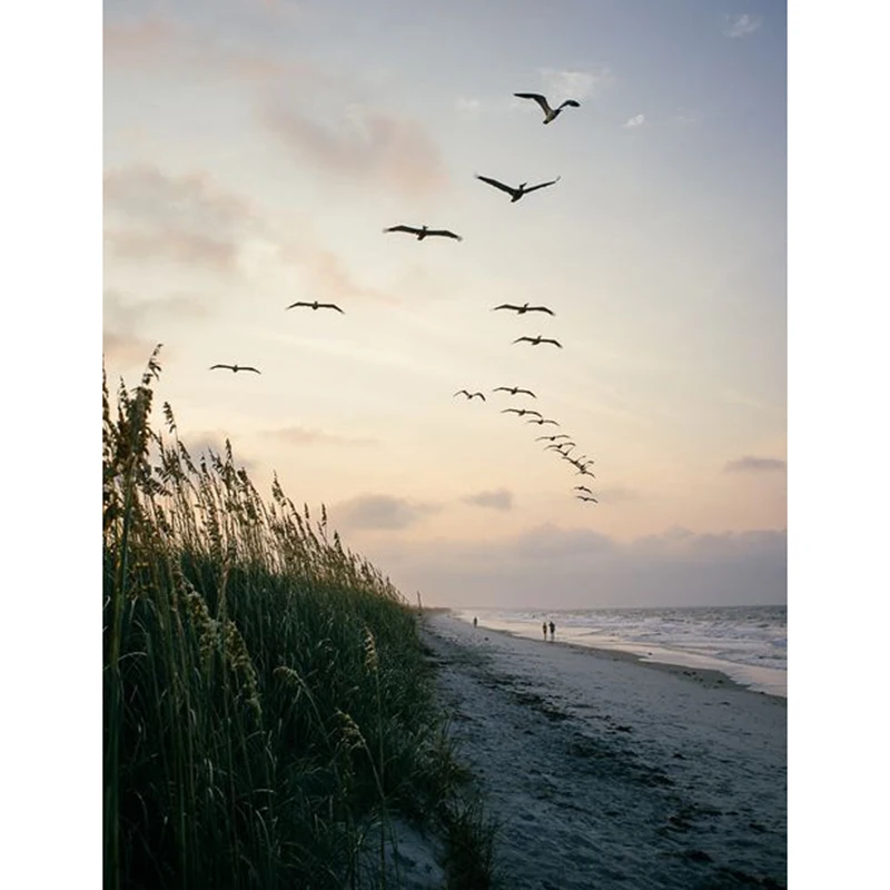 e00b79de3a1de40f06e2343d6f448e19--peaceful-places-beautiful-places (2)