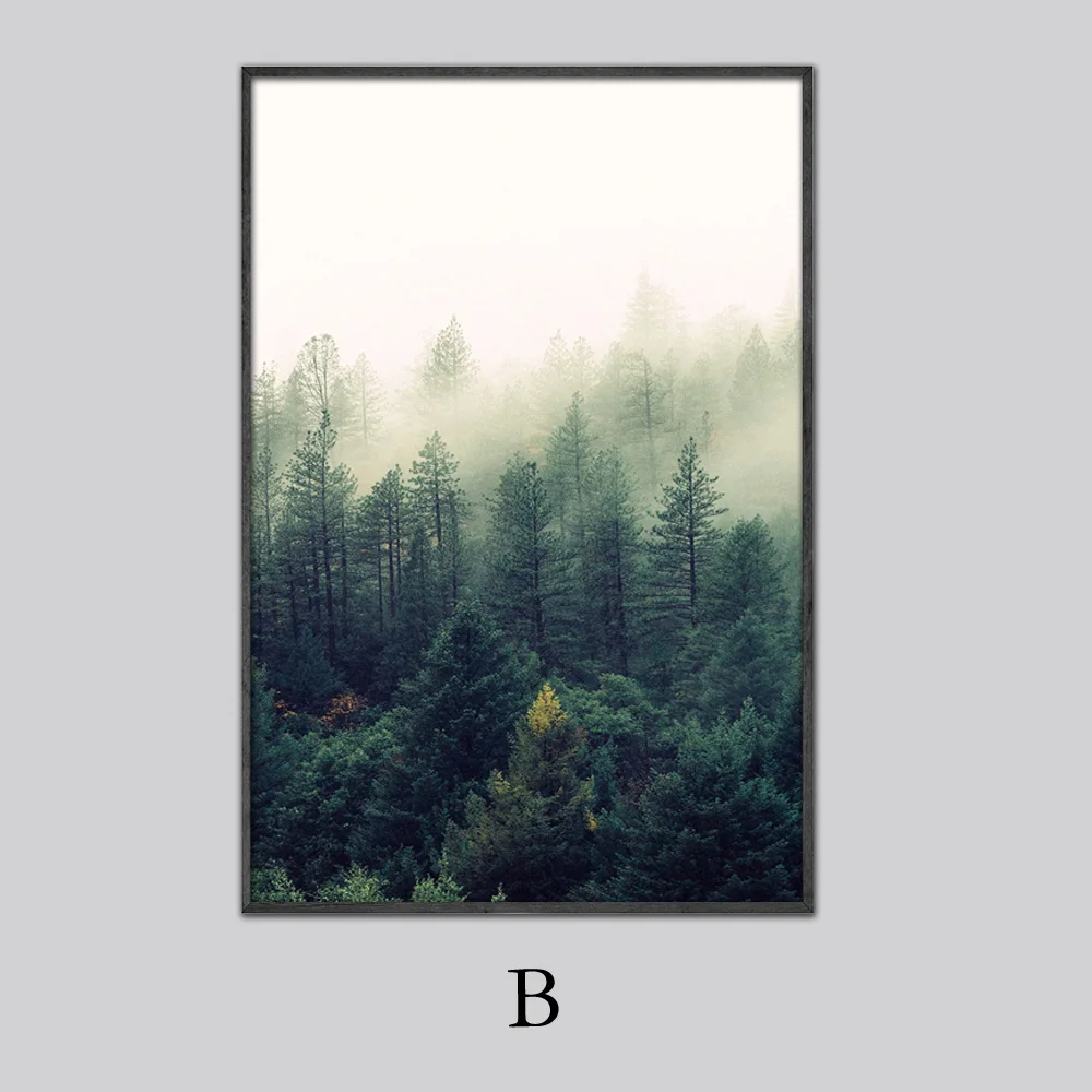 B