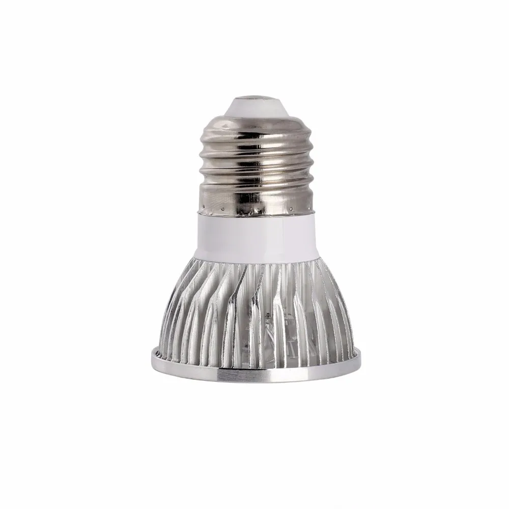 CREE Lamp (42)