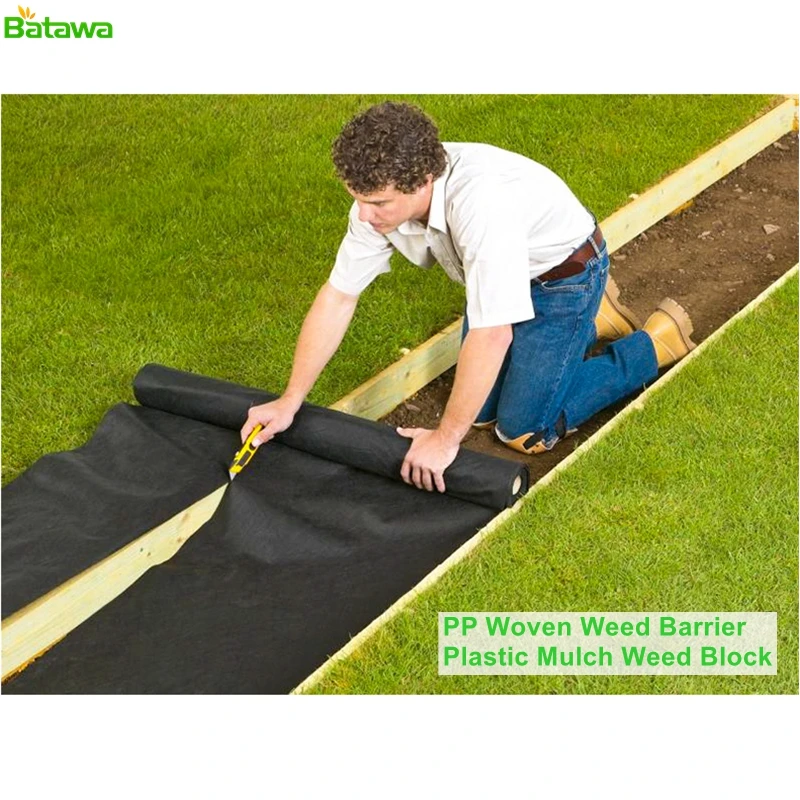 Landscape Ground Cover Heavy PP Woven Weed Barrier,Soil Erosion Control