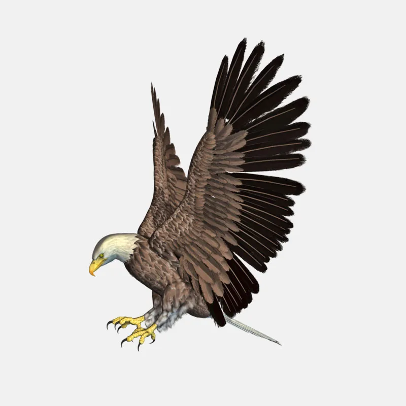 YJZT 10 3 см * 14 5 Prey Eagle Flight PVC Высококачественная Автомобильная наклейка 11