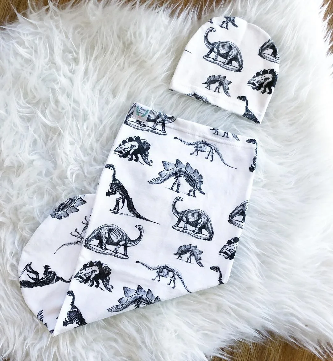 dinosaur receiving blankets
