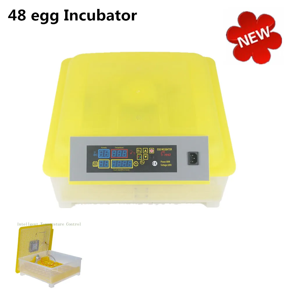 best affordable duck incubator best affordable duck incubator