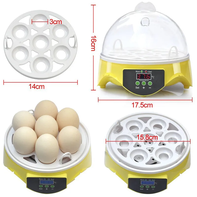 bird incubator quail bird incubator quail
