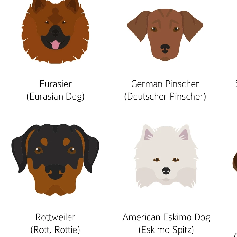 German Dog Breeds Poster Prints detail picture