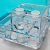 Ants Farm Ants House Castle Transparent Insects Terrarium Ant Cage Insects Observed Box Nursery Ecological Educational Model Toy ► Photo 2/6