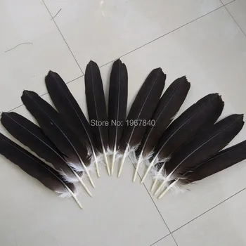 

A set of about 12 pcs scarce natural eagle Tail feathers feathers long 40-45 cm / 16-18 inch free shipping