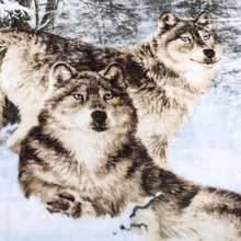 60*80 Inch Hemming Single Animal Heads Raschel Blanket Men’s 3D Fleece Blanket Horse Bear Wolf