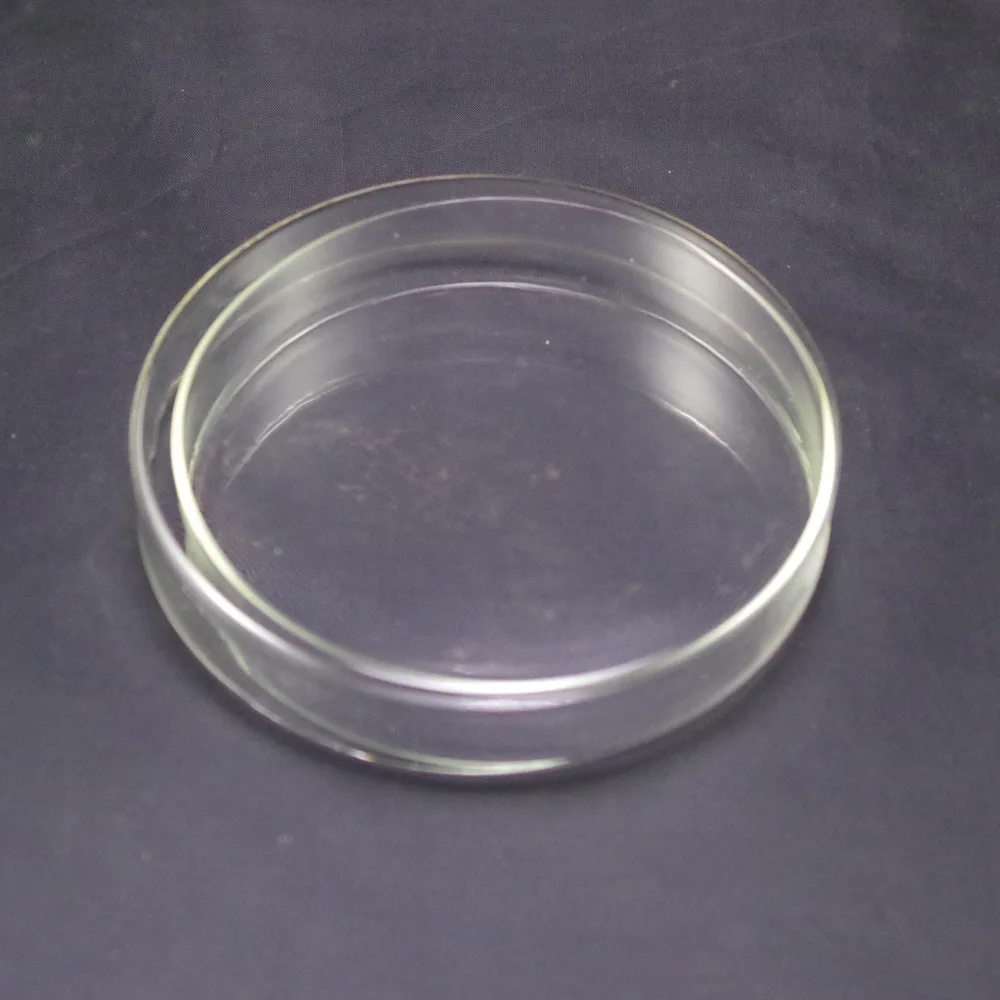 Petri dishes with lids clear glass 100mm LOT10in Petri Dish from