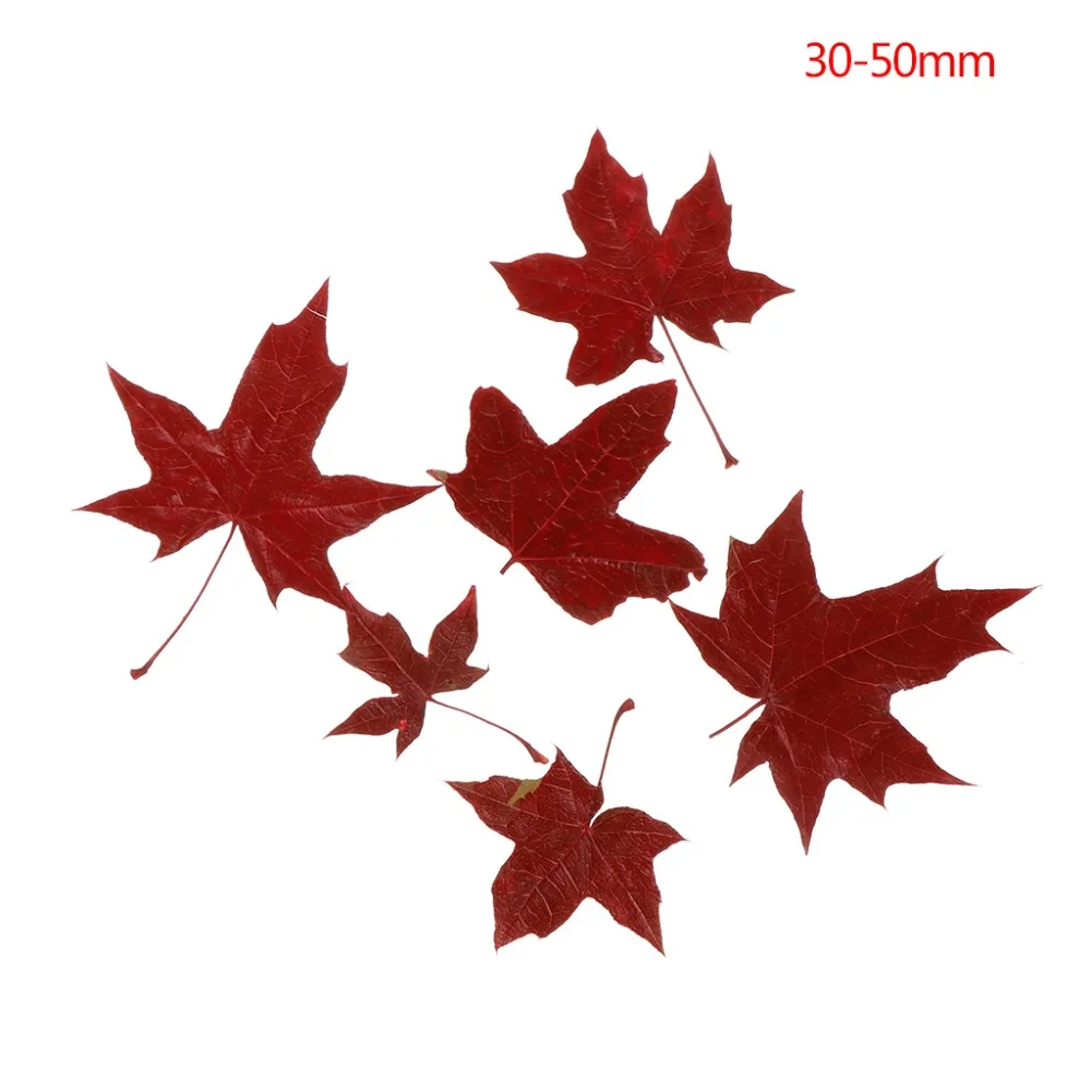 2SS304247-3