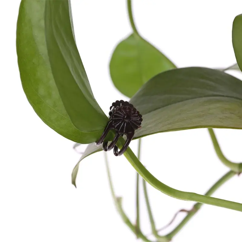 100 шт. Орхидея клипсы с ромашками Садовый цветок растение лоза опорные зажимы держать растение аккуратным