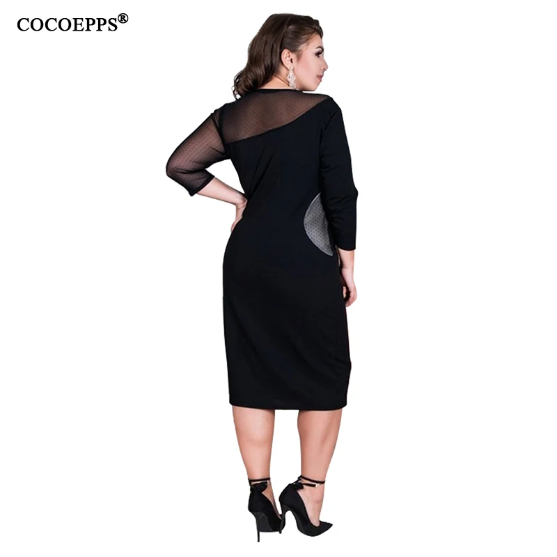 COCOEPPS  18