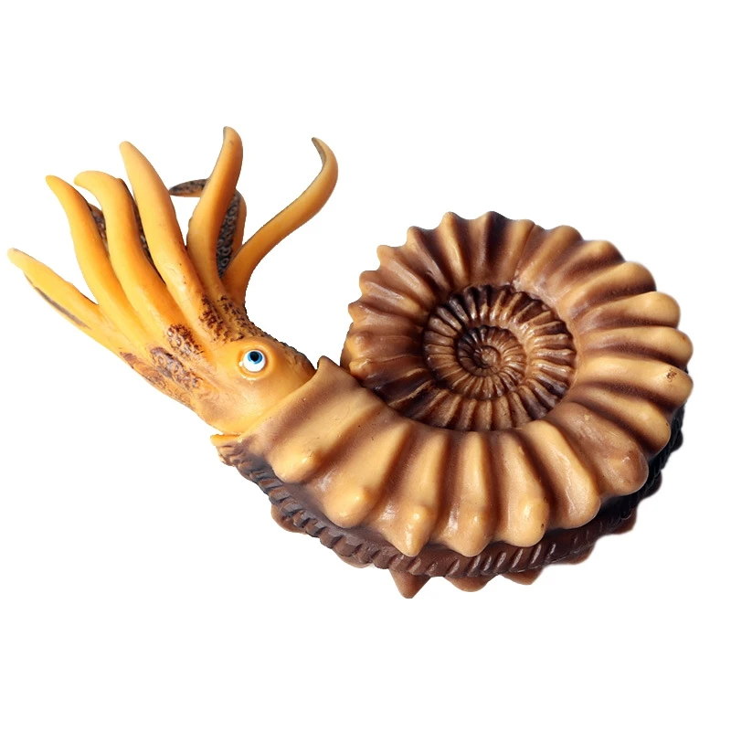 picture color Имитация морской жизни Модель раковины Nautilus Shell кукла украшение - Цвет: picture color