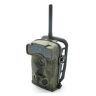 Wholesale Sports & Entertainment