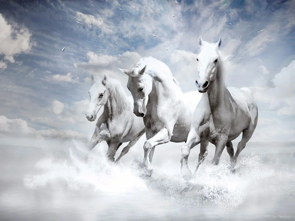 white_horses-2560x1440 - 