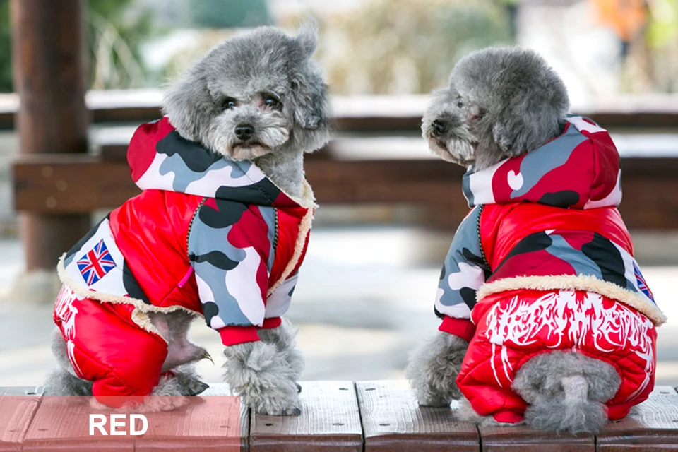 winter dog clothes 18