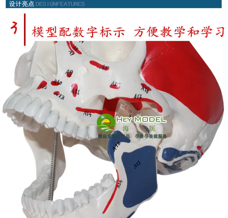//img.alicdn.com/imgextra/i1/2529213246/TB2gWUvnFXXXXXpXXXXXXXXXXXX_!!2529213246.jpg