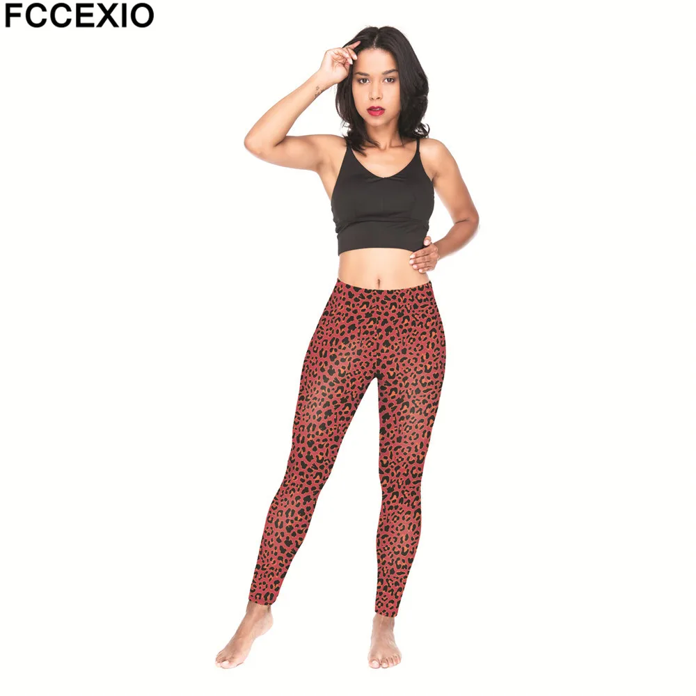 54674 red leo (5)