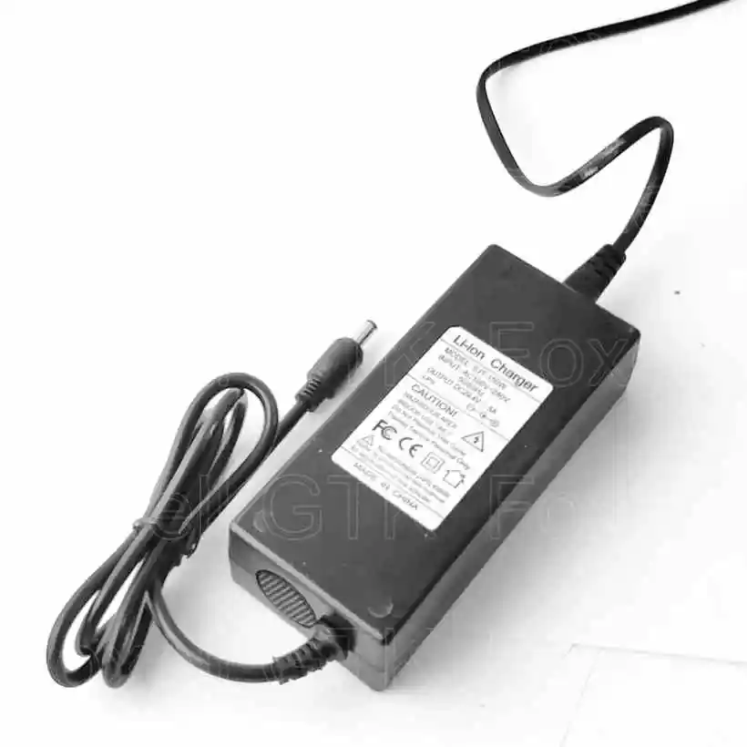 LTO 12V 5A fast quick speed charger 5s 12v 14v 5A 6s 14.4v 16.8v LTO Lithium titanate battery pack universal AC DC EU US plug (3)