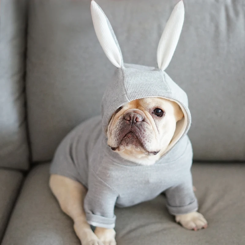 Cute French Bulldog Hooded Coat Jacket Winter Warm Pet Clothes for Small Dogs Sweet Rabbit Ears Shape Puppy Cat Clothing Costume