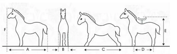 Плюшевая Механическая лошадь с белым копытом, ходячие животные, верховая езда для гоночной игры, маленький размер, ездовая лошадь, игрушки для детей в возрасте от 3 до 8 лет