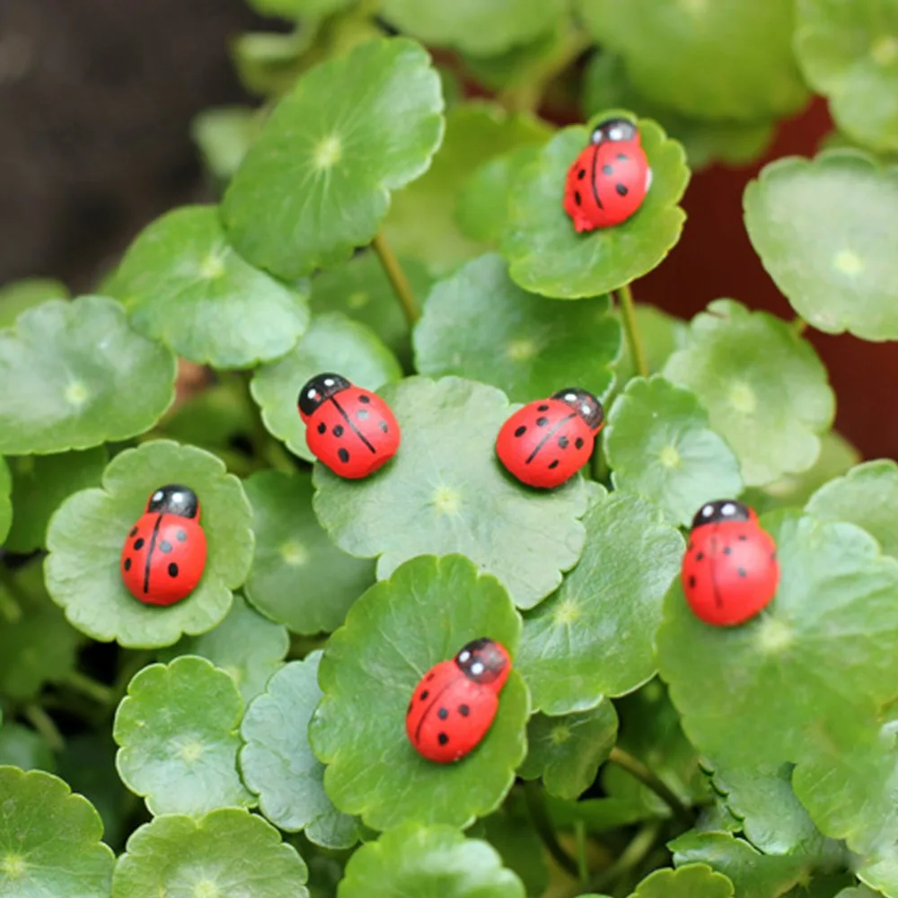 OOTDTY 50/100 Pcs Mini Ladybird Red Beetle Ladybug Fairy Doll House Garden Decor Ornament  
