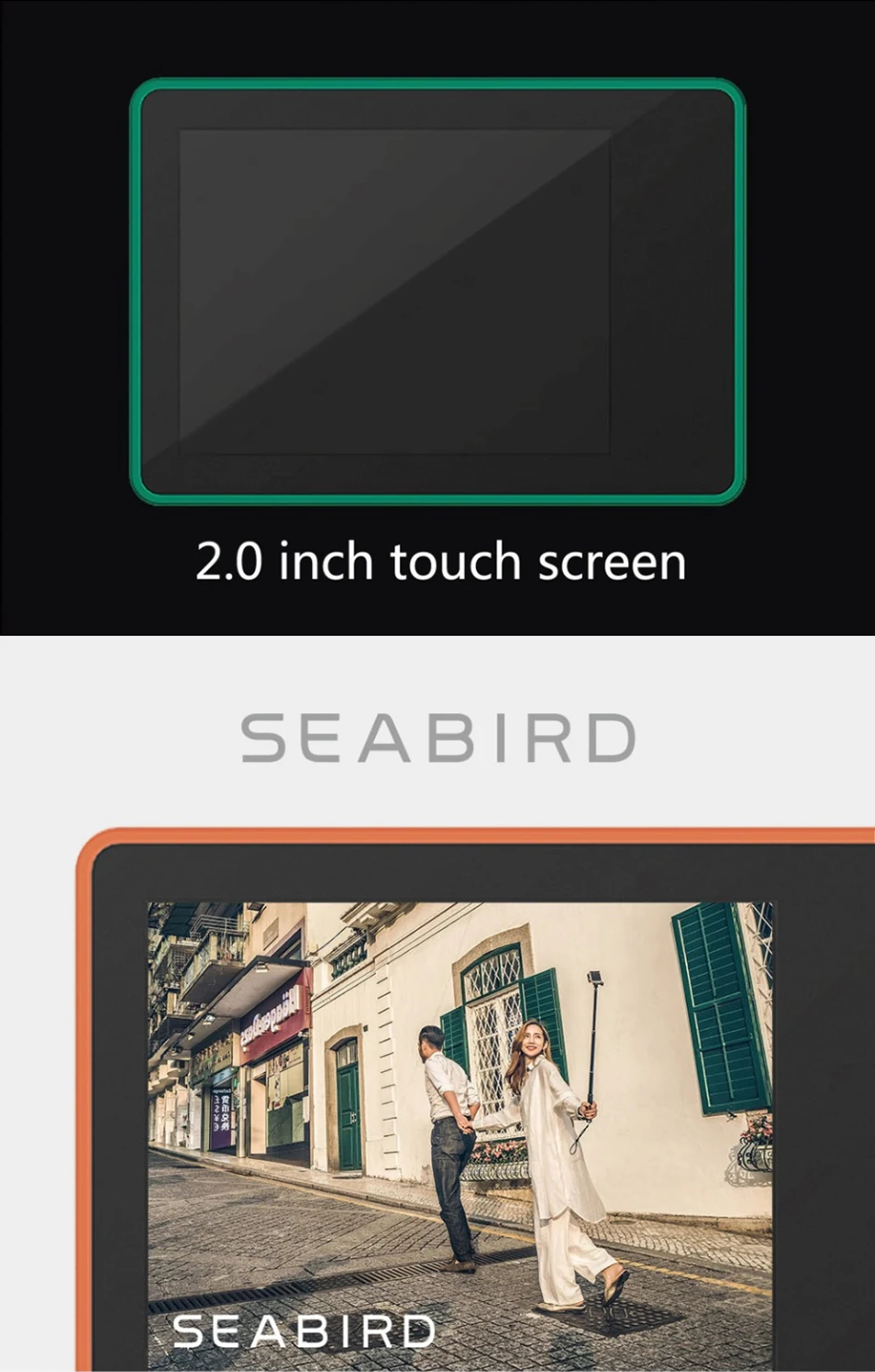 Mi-Seabird-4K_12