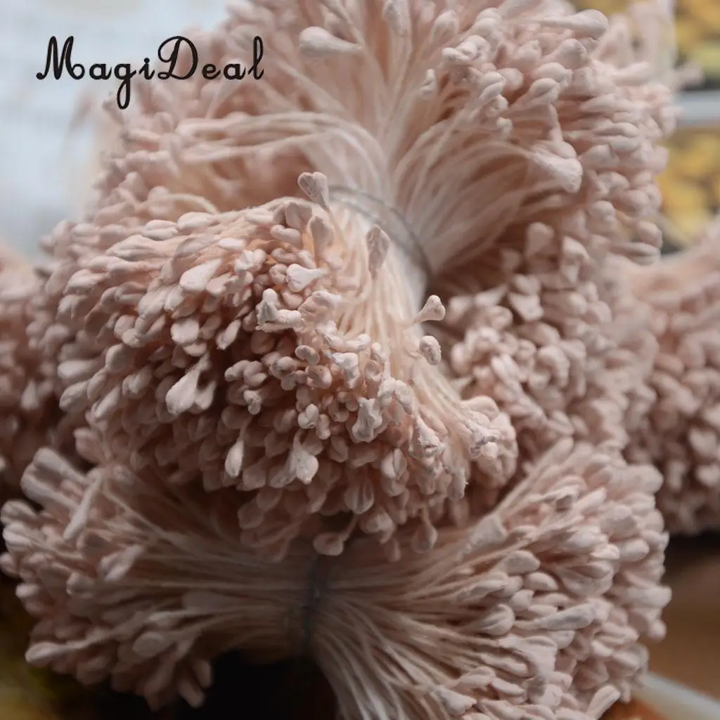 MagiDeal 720 Pieces 6 mm Double Head Stamens Scrapbook Cards Home Decor Flower Craft Supplies Beige & Pink Colors