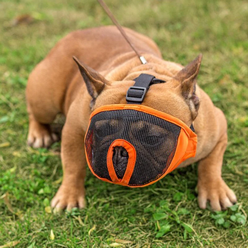 

Breathable Mesh Short-nose Pet Dog Muzzles Adjustable French Bulldog Pug Mouth Muzzle Mask Anti Bark Bite Chew Muzzles For Dogs