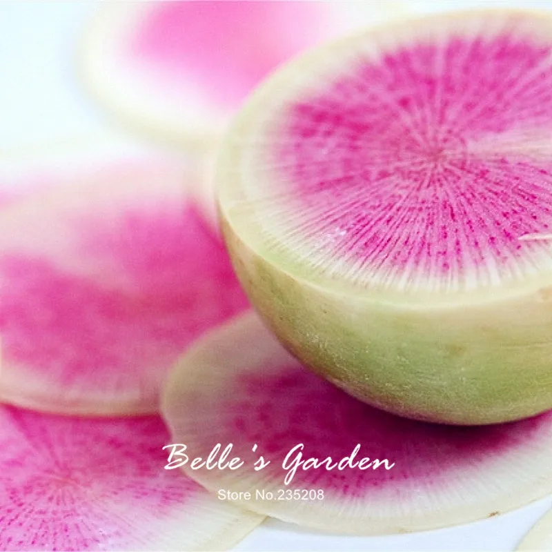 100pcs unusual ball shaped watermelon radish seeds rare pink interior color oganic radish home garden fruit vegetable seeds in bonsai from home garden