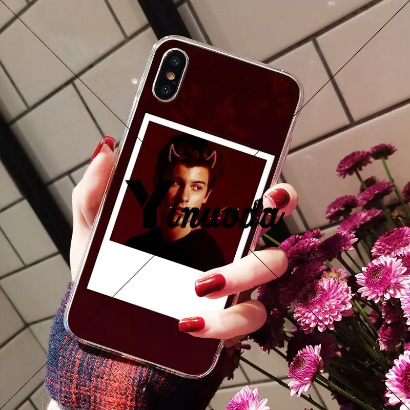 Hit pop singer Shawn Mendes love