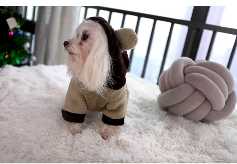 jacket for dogs winte