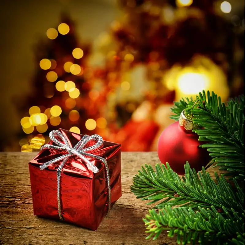 

10x10ft  Vinyl Custom Christmas  theme Photography Backdrops Prop Studio Background HU-05289