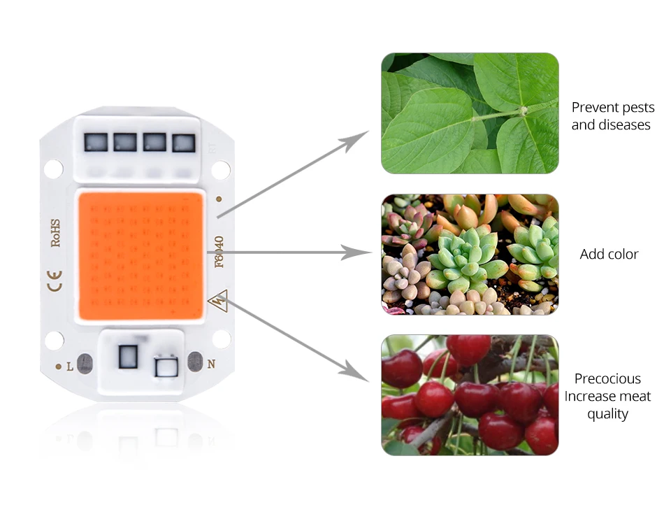 10pcs COB LED Grow Light Chip Phyto Lamp Full Spectrum 20W 30W 50W Diode Lamps For Plants Seedlings Indoor Greenhouse Hydroponic (6)