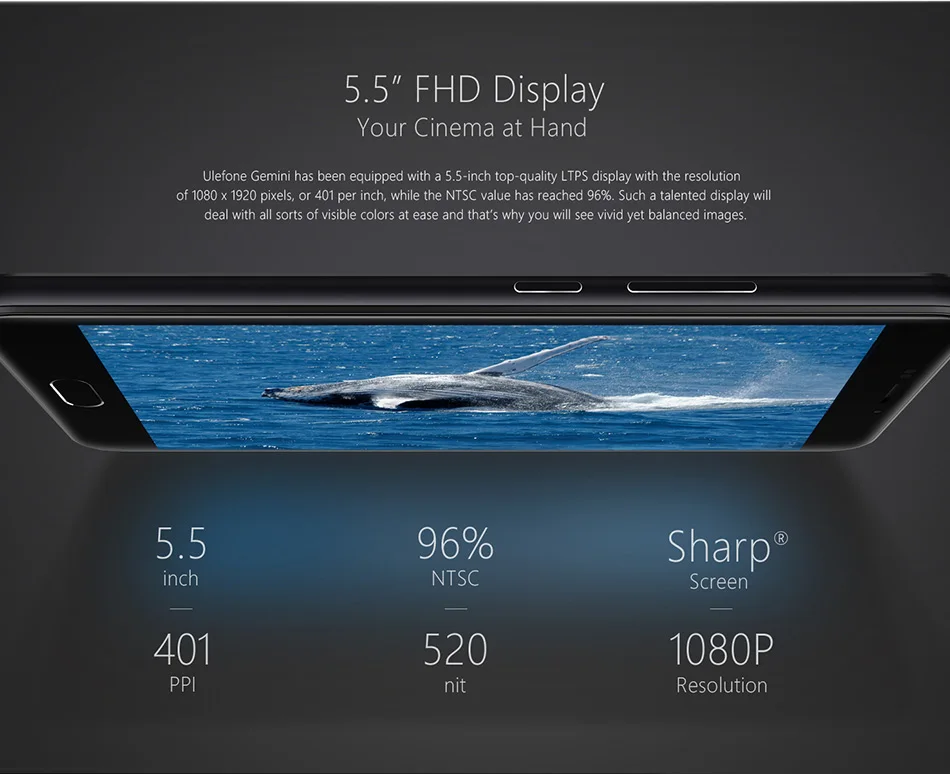 HTB1WH94PpXXXXaCapXXq6xXFXXXr