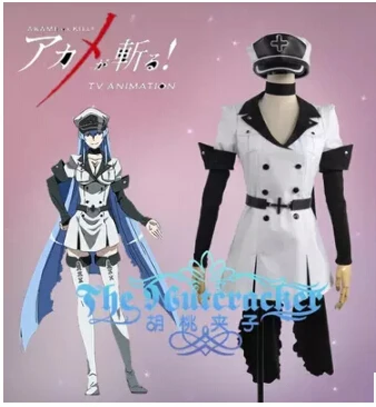 

New Akame Ga Kiru Kill ! cosplay NIGHT RAID hero Esdeath cosplay costume dress+belt+gloves+hat+scarf set