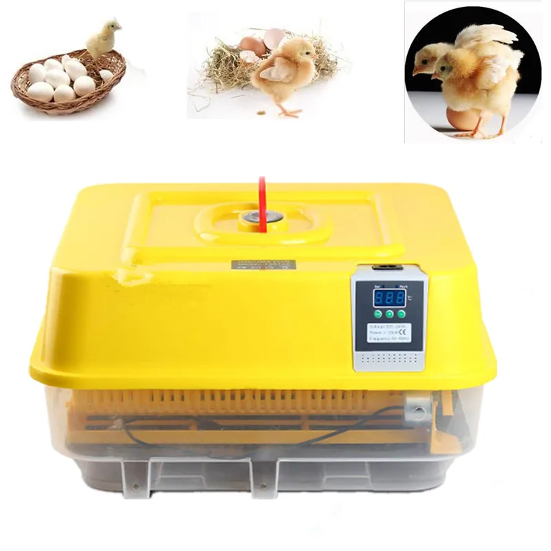 

39 Eggs Incubator Mini Multifunctional Auto Hatcher Poultry Chicken brooder Cheap Price for Geese Quail Hatching Machine