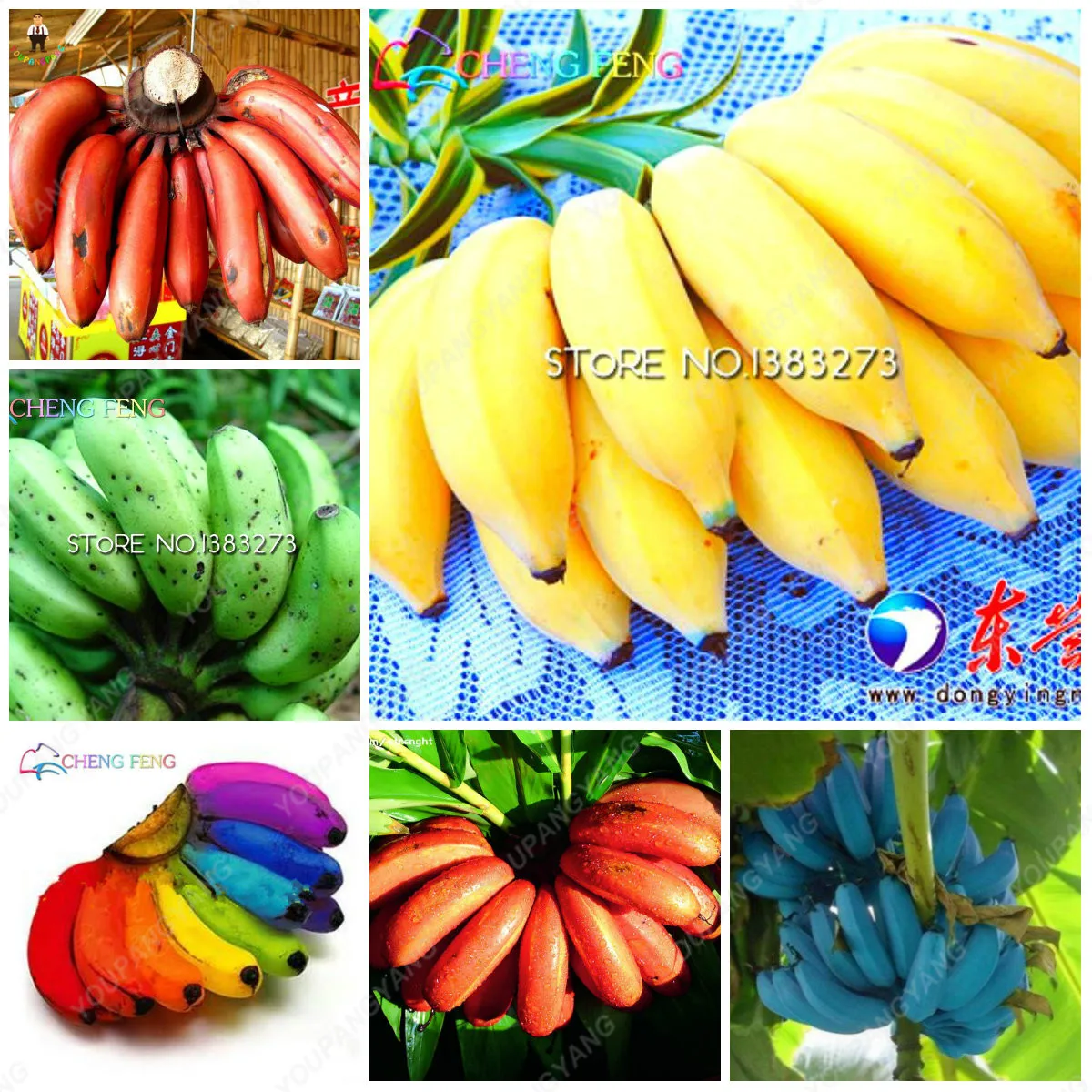 

200Pcs Banana Fruits bonsai Organic Heirloom Dwarf Bonsai Plants Outdoor Perennial Frutas Healthy Nutritious Food Home Garden