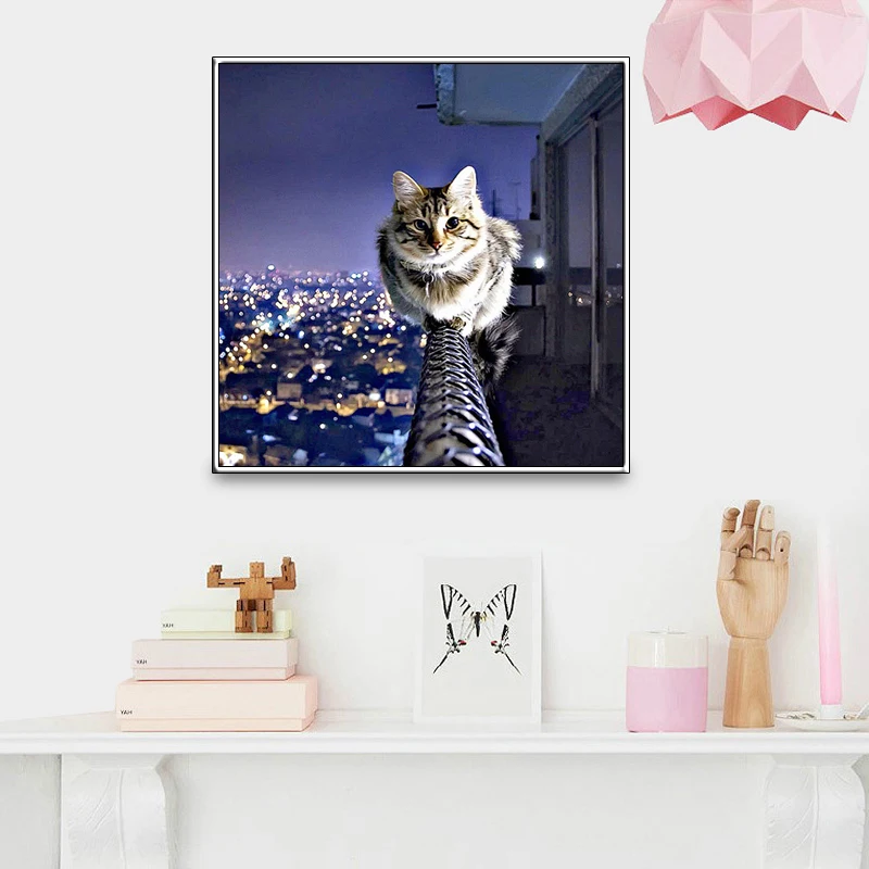 5691