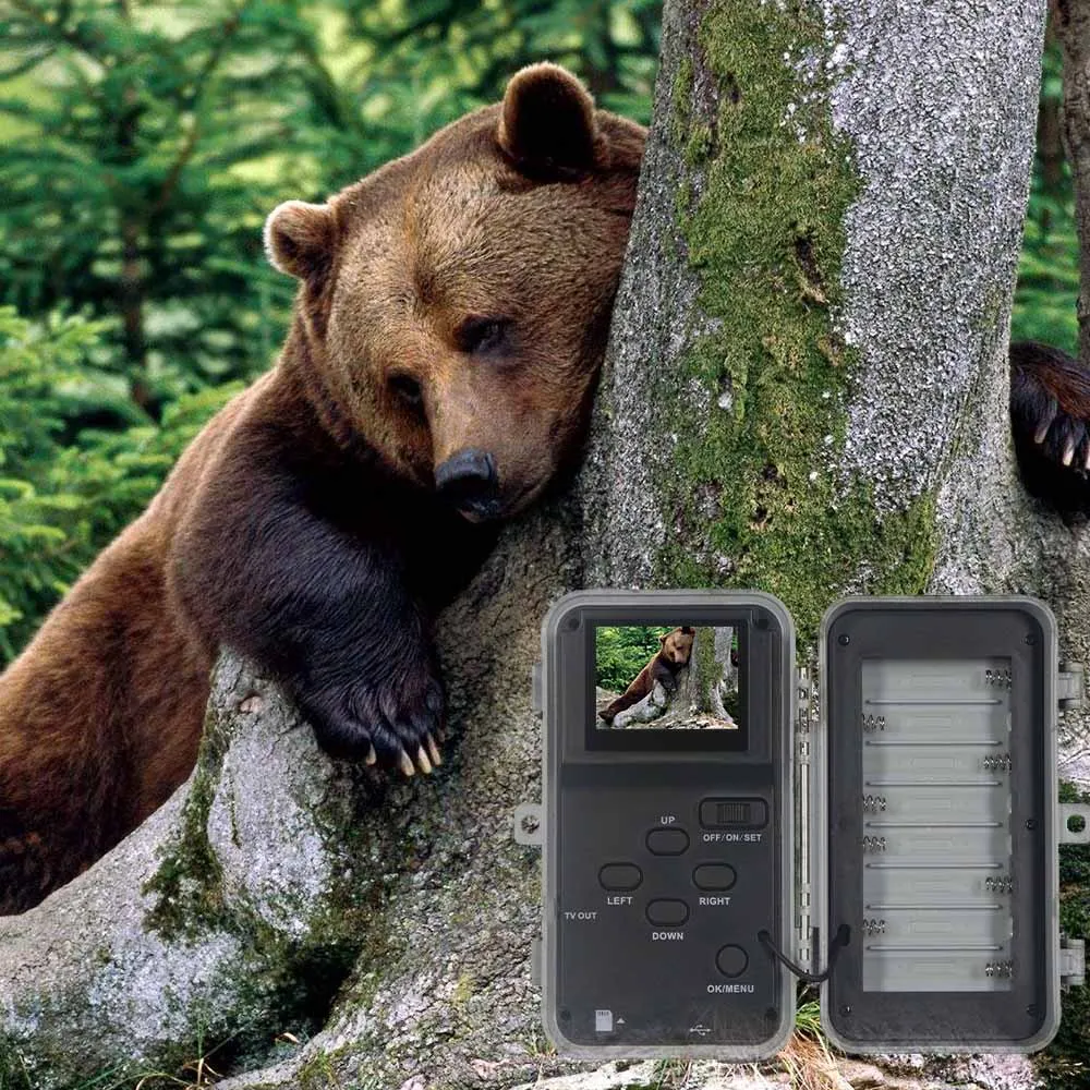 motion detector wildlife camera