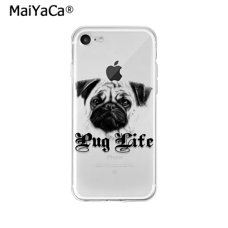 Pet Dog Pug puppy
