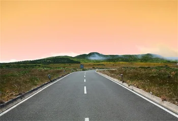 

Laeacco Road Mark Grass Wild Dusk Portrait View Photography Backgrounds Customized Photographic Backdrops For Photo Studio