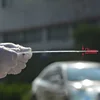 300mm Large Optical PMMA Plastic Big Solar Fresnel Lens Focal Length 220mm 260 Solar Concentrator Magnifying Glass 1PC ► Photo 3/5