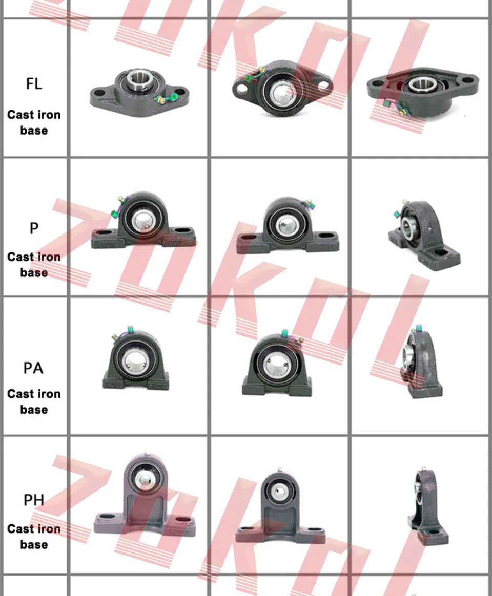 UCFC_A_02