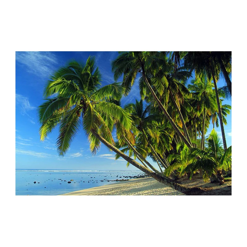 Paradiso