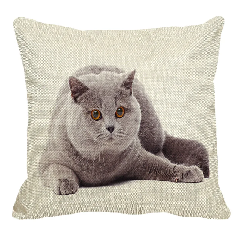 Q (2)