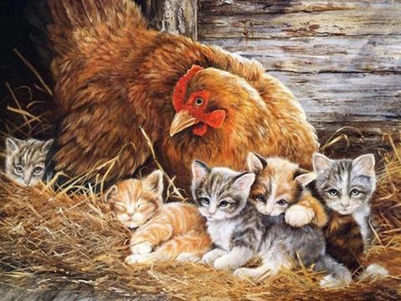 Кошка и цыпленок