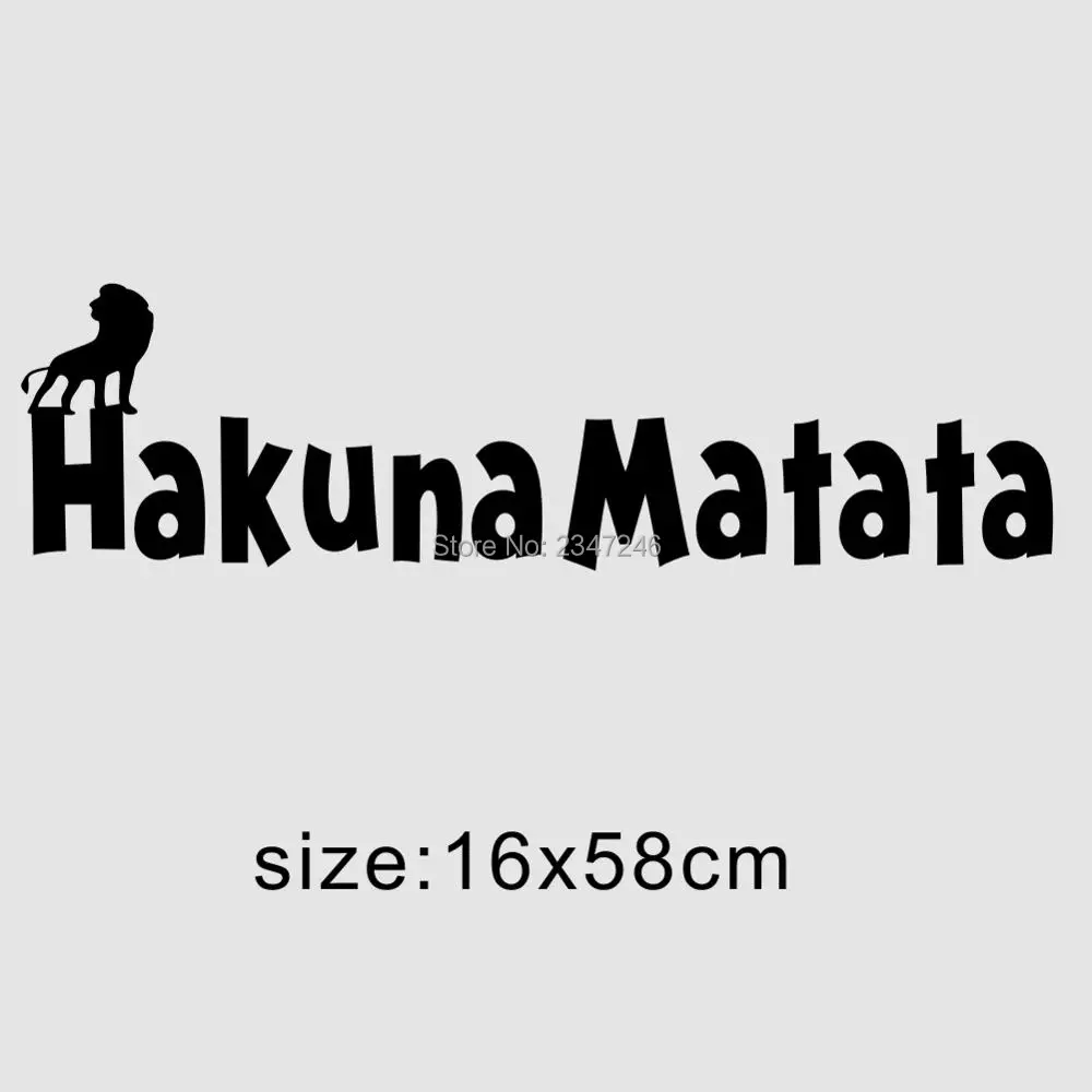 my1221-size