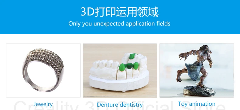 DLP_13